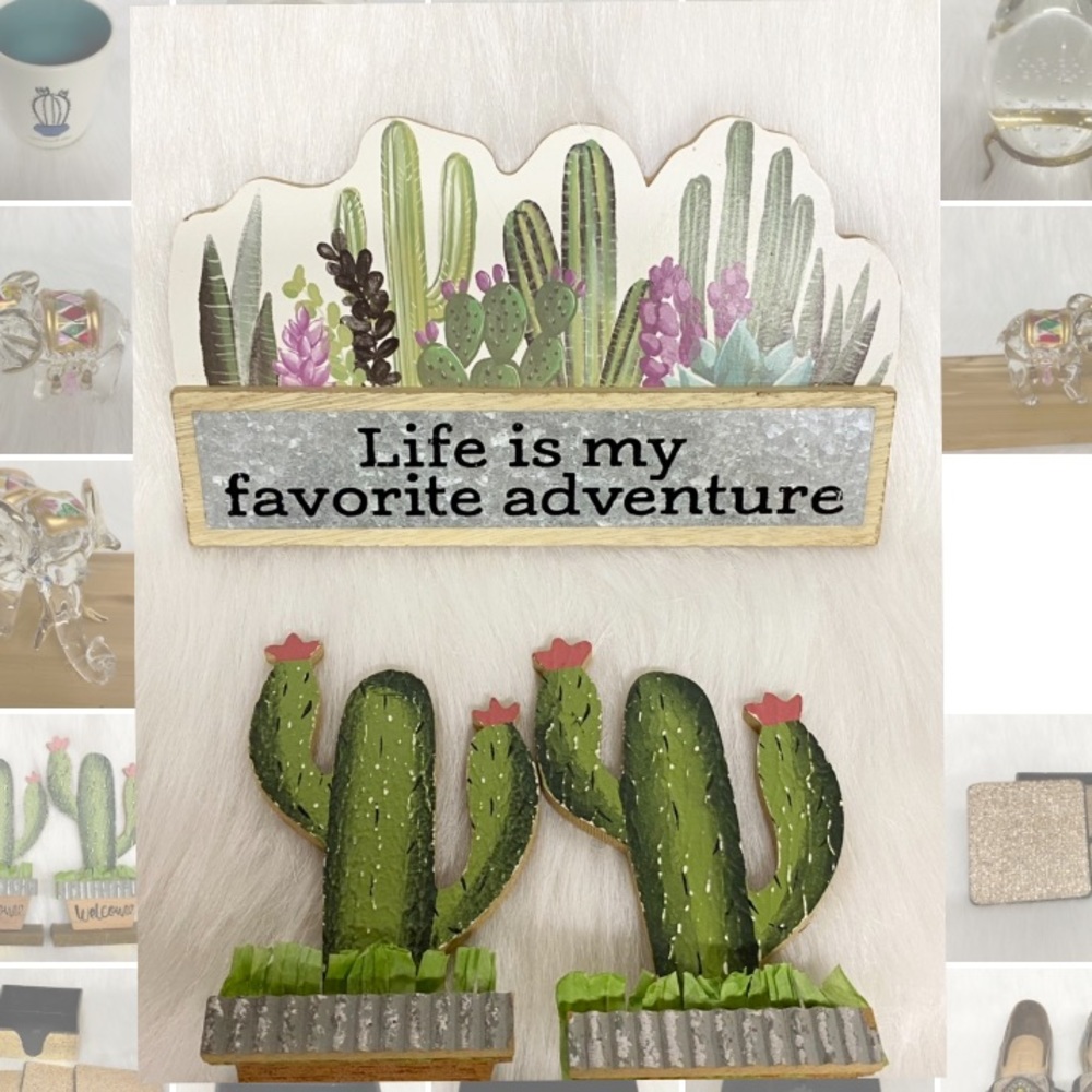 Cactus Decor